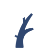 Tipos de cirurgias