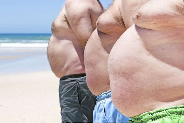 Causas da Obesidade